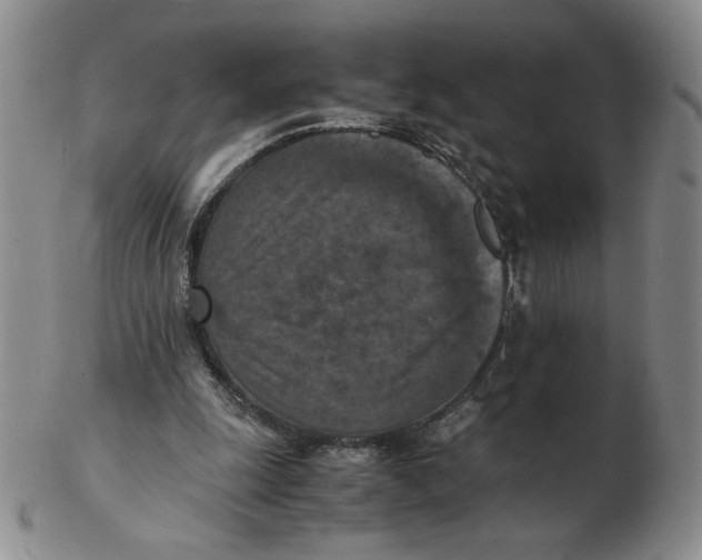 X0000103140247200809121800