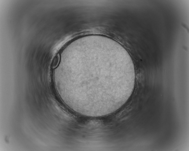 X0000103140248200809121800