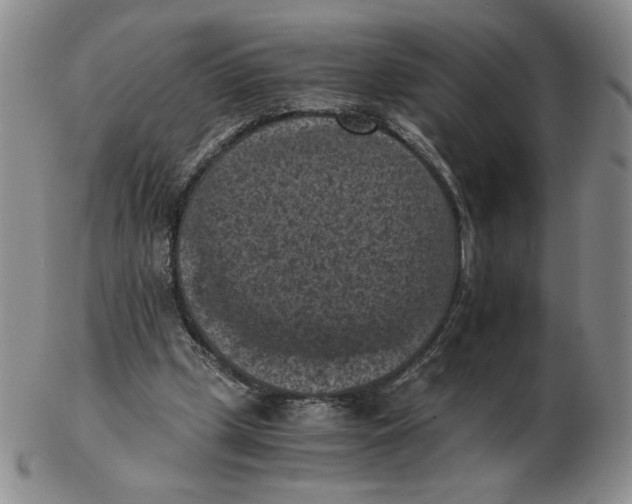 X0000103140249200809121800