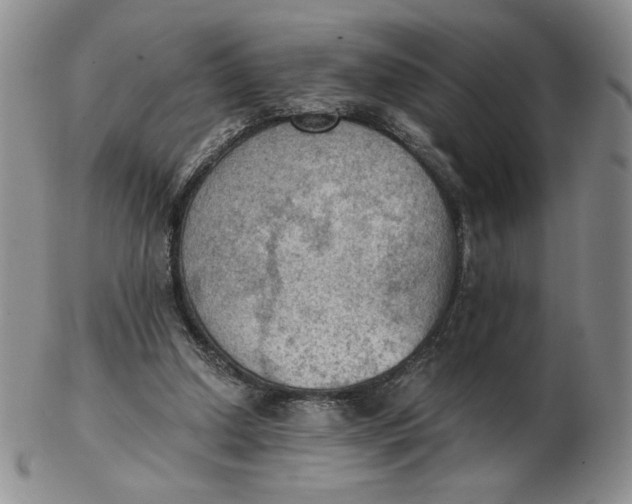 X0000103140250200809121800