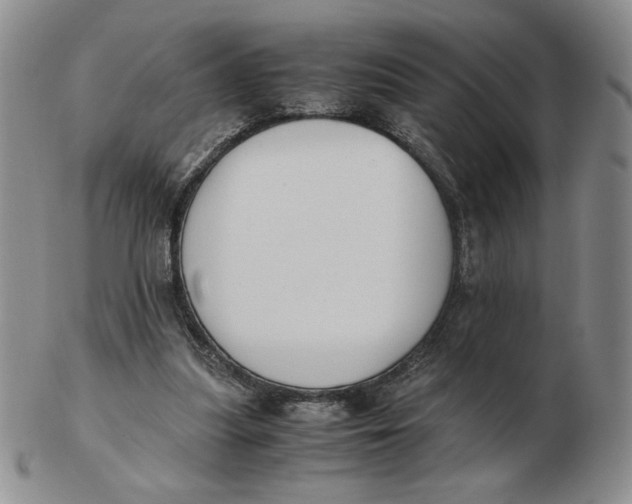 X0000103140251200809121800