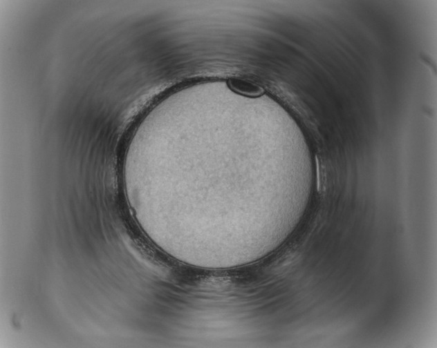 X0000103140252200809121800