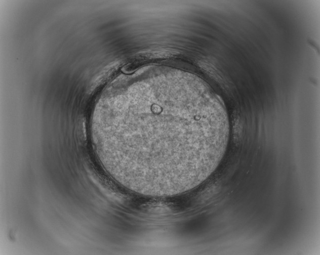 X0000103140254200809121800