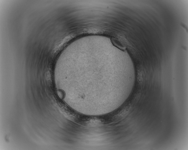 X0000103140256200809121800