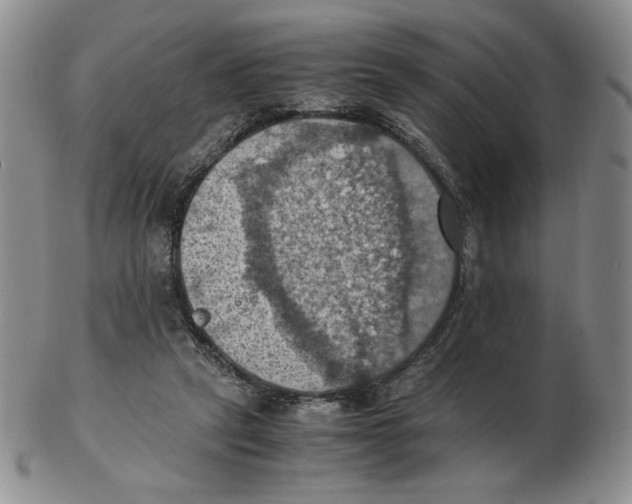 X0000103140257200809121800