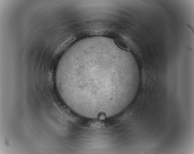 X0000103140258200809121800