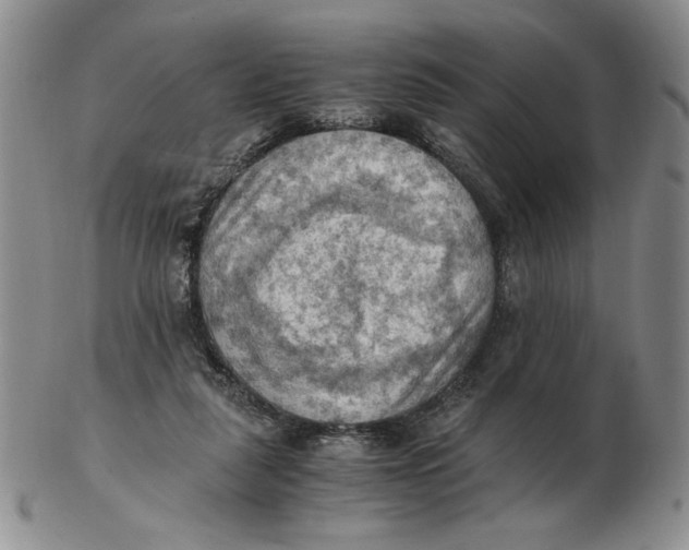 X0000103140259200809121800