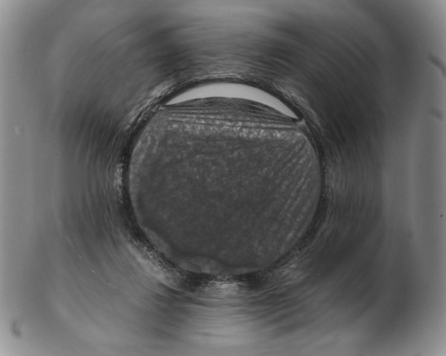 X0000103140260200809121800