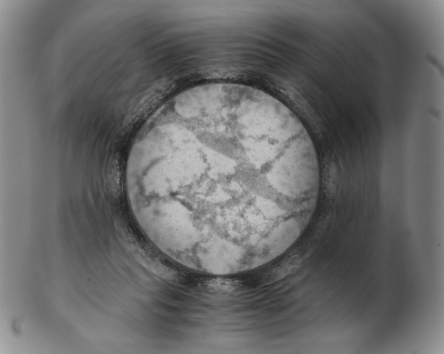 X0000103140261200809121800