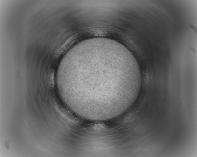 X0000103140262200809121800