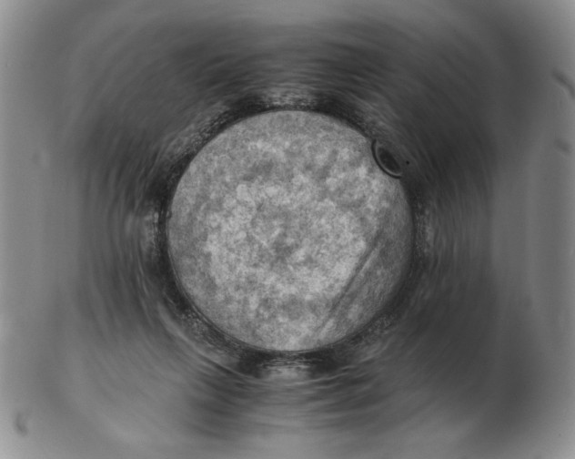 X0000103140263200809121800