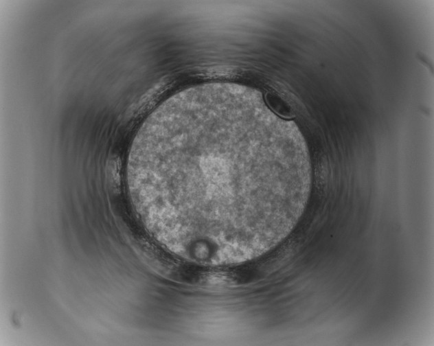 X0000103140264200809121800