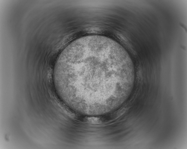 X0000103140265200809121800