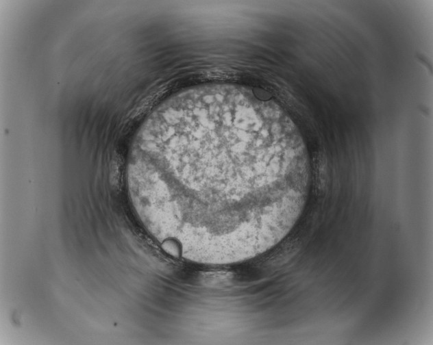 X0000103140266200809121800