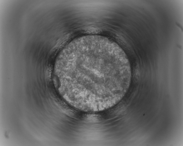 X0000103140268200809121800