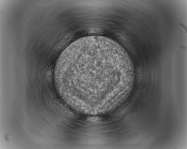 X0000103140269200809121800