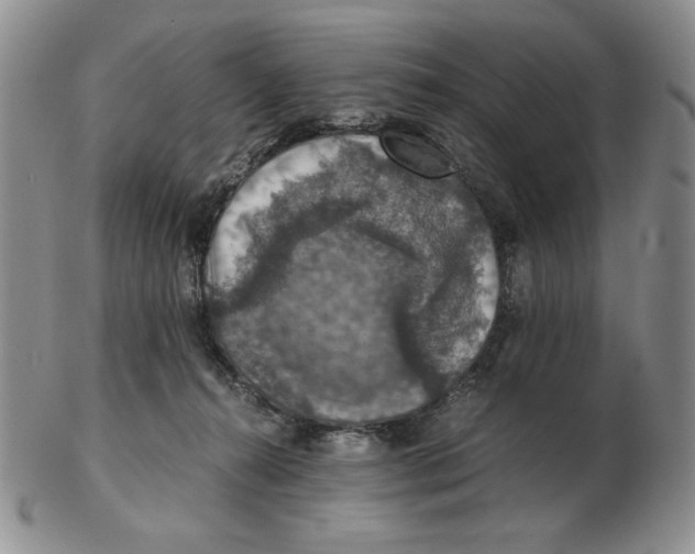 X0000103140272200809121800