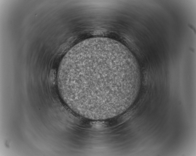 X0000103140273200809121800