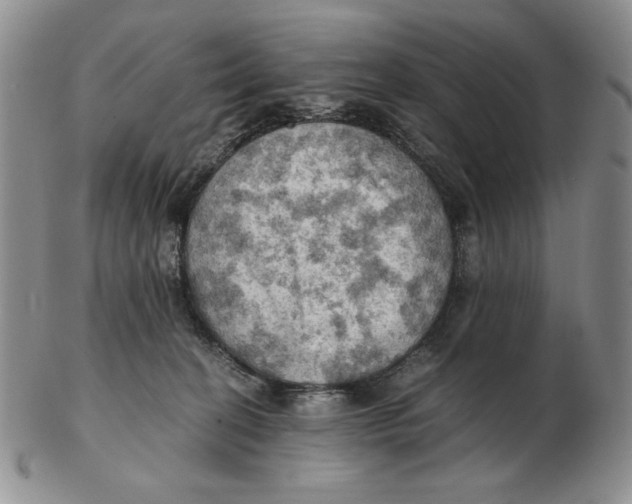 X0000103140274200809121800