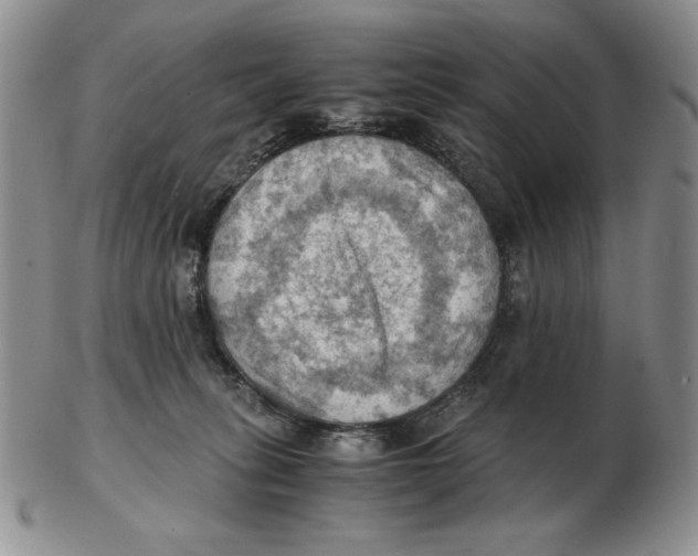 X0000103140275200809121800