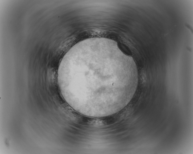 X0000103140276200809121800