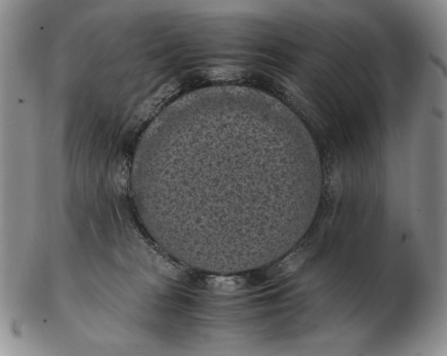 X0000103140277200809121800