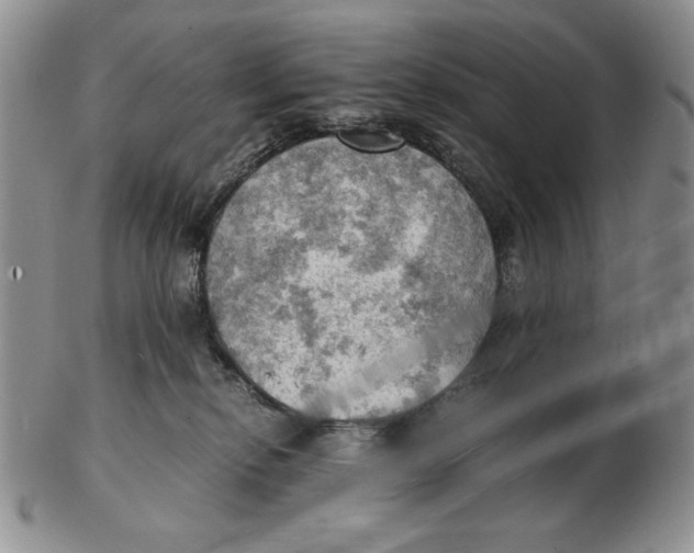 X0000103140278200809121800