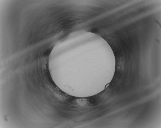 X0000103140279200809121800