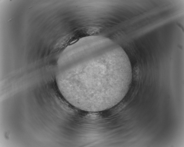 X0000103140280200809121800