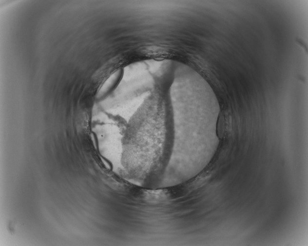 X0000103140281200809121800