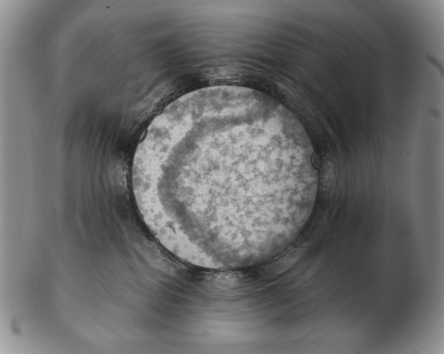 X0000103140282200809121800