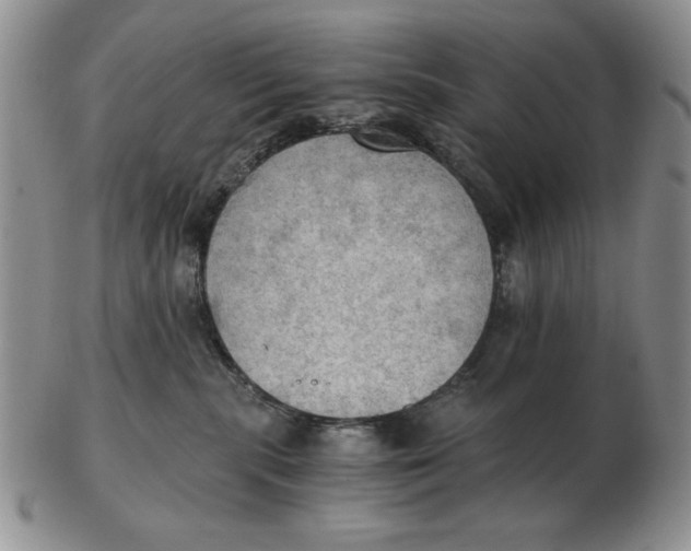 X0000103140283200809121800