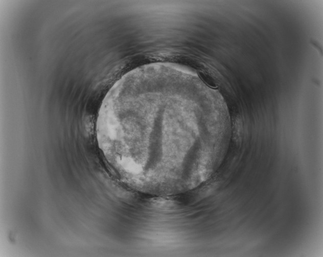 X0000103140284200809121800