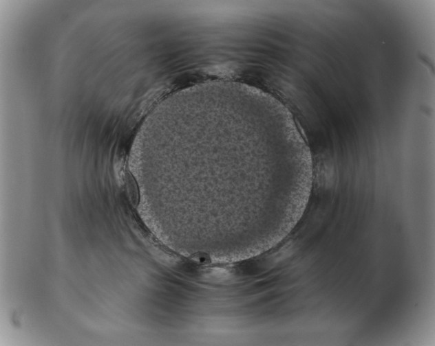 X0000103140285200809121800