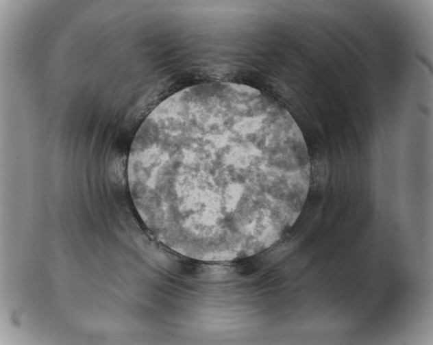 X0000103140286200809121800