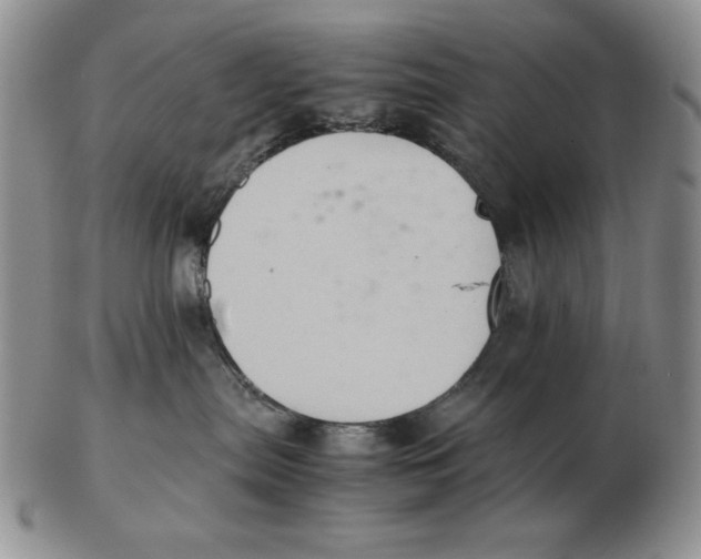 X0000103140287200809121800