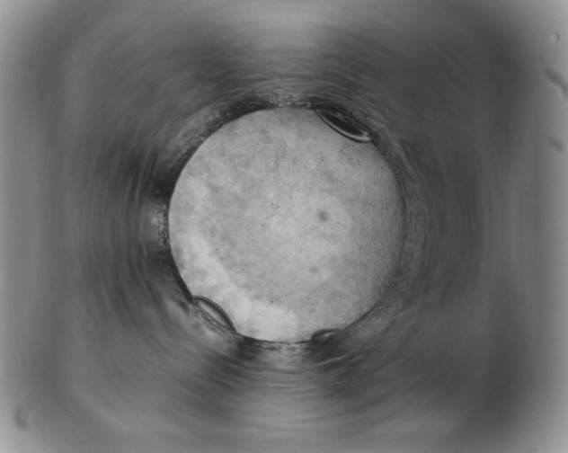 X0000103140288200809121800