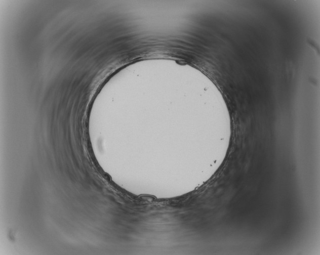 X0000103140289200809121800