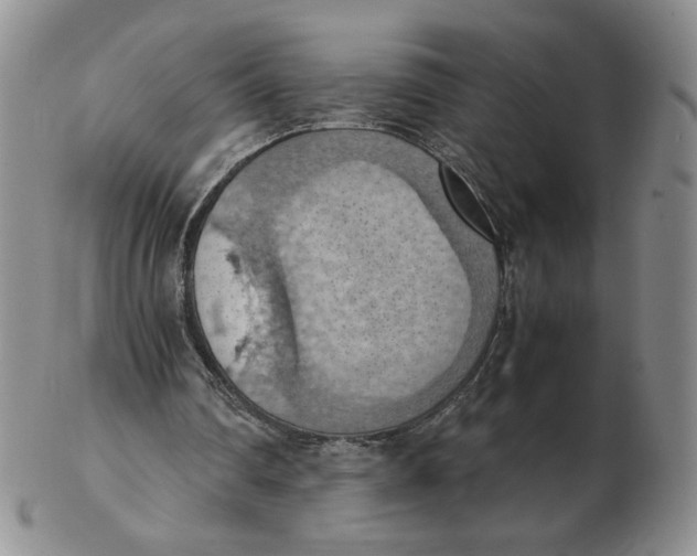 X0000103140290200809121800