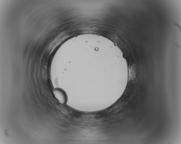 X0000103140291200809121800