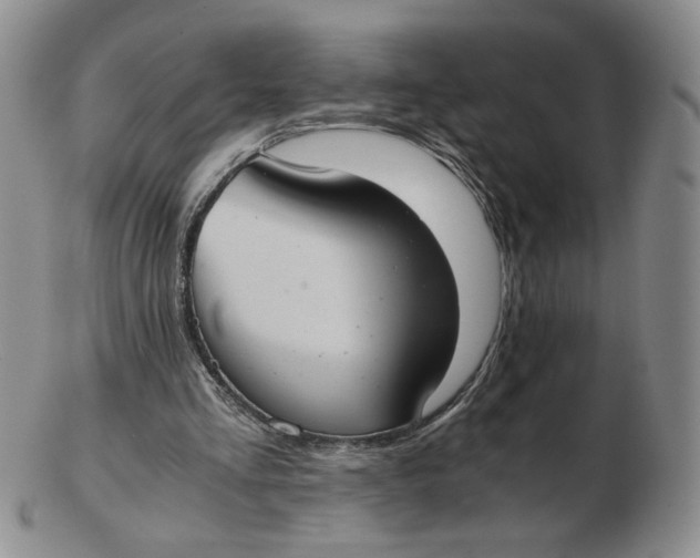 X0000103140293200809121800