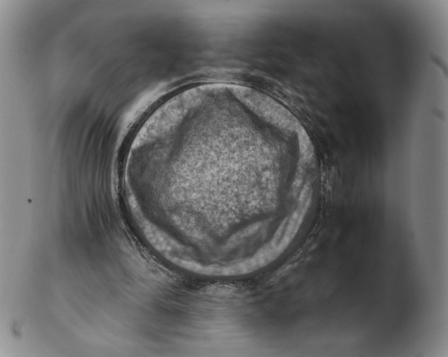 X0000103140294200809121800