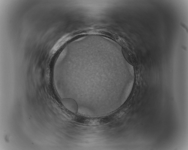 X0000103140295200809121800