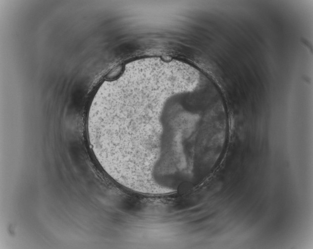 X0000103140297200809121800