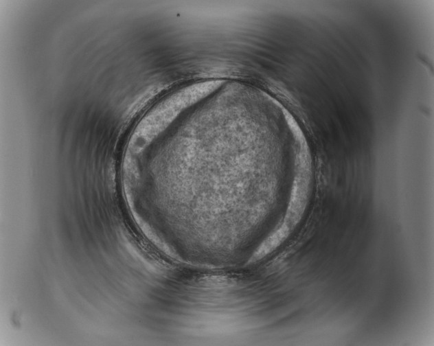 X0000103140298200809121800