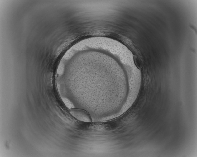 X0000103140299200809121800