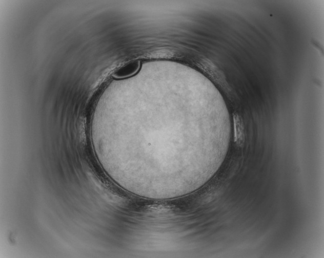 X0000103140300200809121800