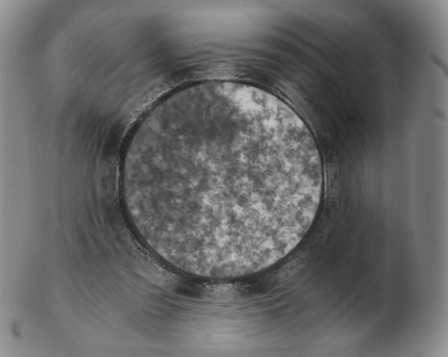 X0000103140301200809121800