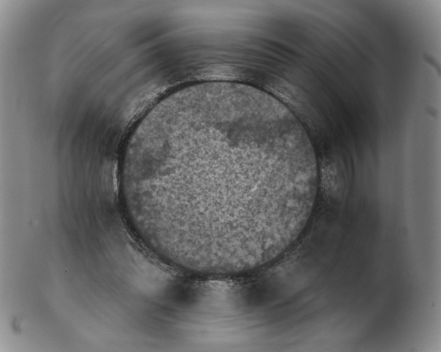 X0000103140302200809121800