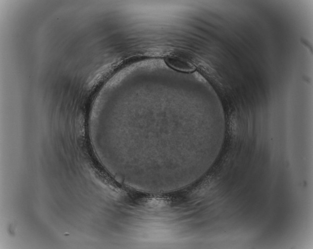 X0000103140303200809121800